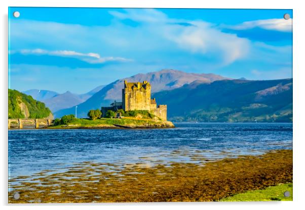 Eileen Donan Castle, Scottish Highlands Acrylic by Scott Paul