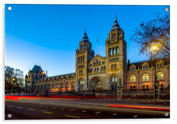 Natural History Museum at Blue Hour Acrylic by Steve Mantell