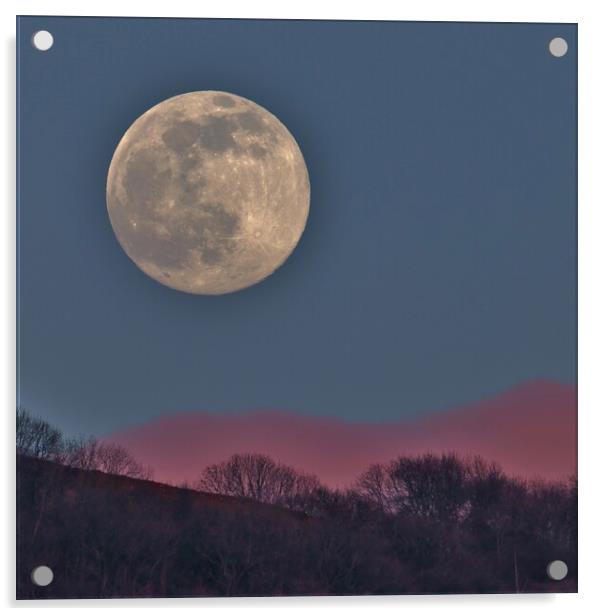 Full Worm Moonrise Acrylic by Susan Snow