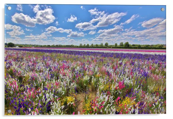 Field of Delphiniums Acrylic by Susan Snow