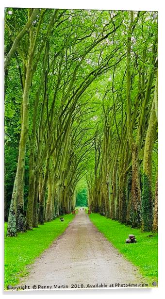 Avenue of Trees Acrylic by Penny Martin