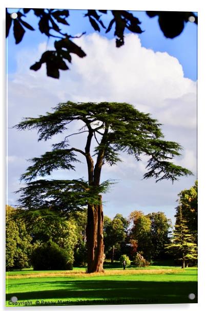 Lydiard Park, Swindon, Wiltshire Acrylic by Penny Martin