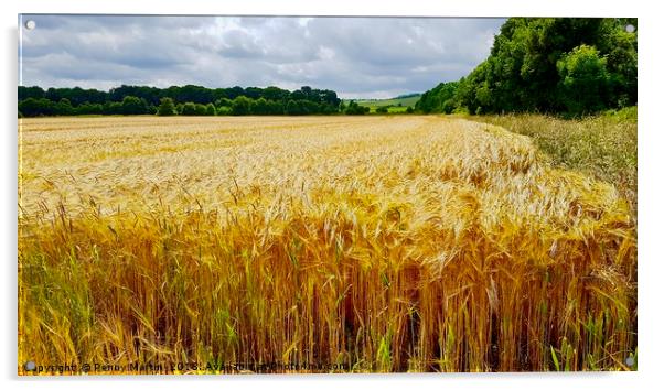 Field of Gold Wheat Acrylic by Penny Martin