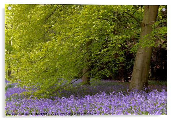 Bluebell wood in spring, North Yorkshire Acrylic by Wendy McDonnell