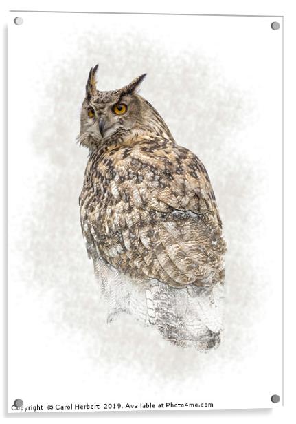 Turkmenian Eagle Owl Acrylic by Carol Herbert