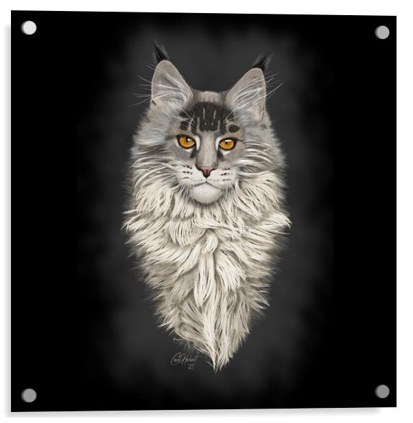 Maine Coon Cat Original Artwork Acrylic by Carol Herbert