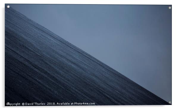 Icelandic Ash Slope Acrylic by David Thurlow
