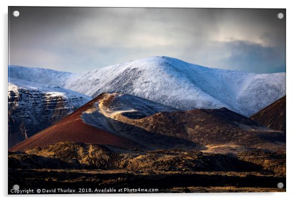 Berserkjahraun Lava Field, Iceland Acrylic by David Thurlow