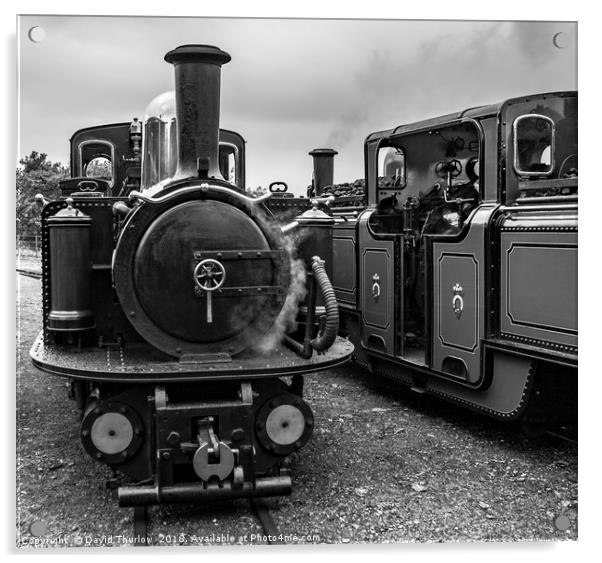 Old Engine Shed Lineup, Ffestiniog Railway Acrylic by David Thurlow