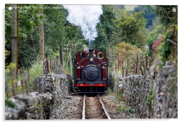 Ffestiniog Railway locomotive Palmerston approaching Acrylic by David Thurlow