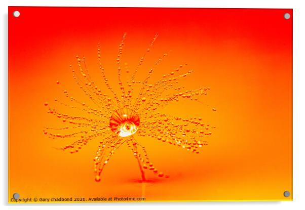 Orange Burst Acrylic by Gary chadbond