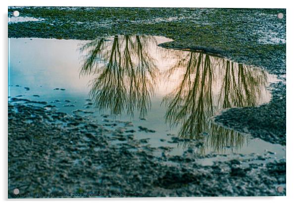 Reflection Acrylic by Gary chadbond