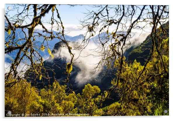 Cloud forest 2, Madeira Acrylic by Jon Sparks