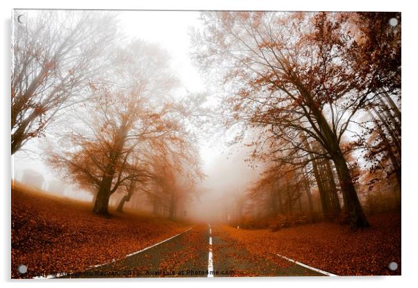 Road in fog Acrylic by Alexandru Razvan