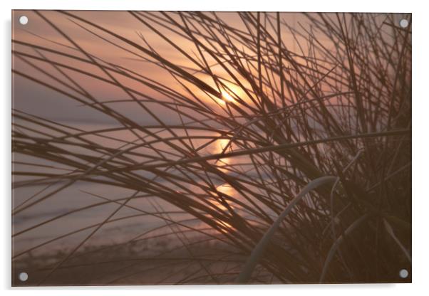 Sunset in the dunes Acrylic by jason jones