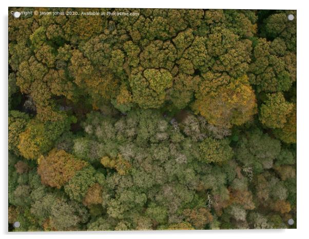 Looking down on Autumn Acrylic by jason jones