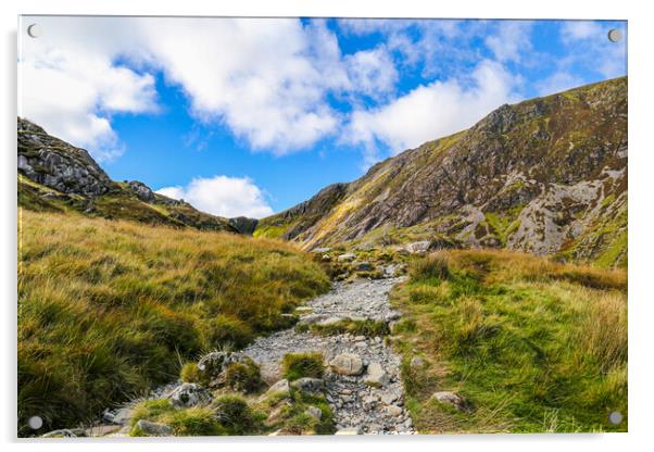 Path on Cadair Idris Acrylic by Carmen Goulden