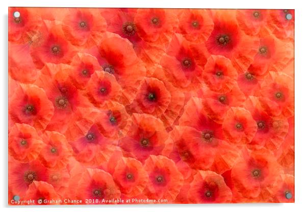 Poppy red Acrylic by Graham Chance