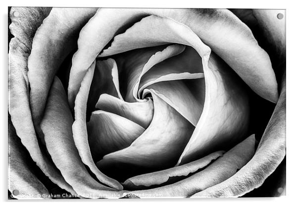 Petals Acrylic by Graham Chance