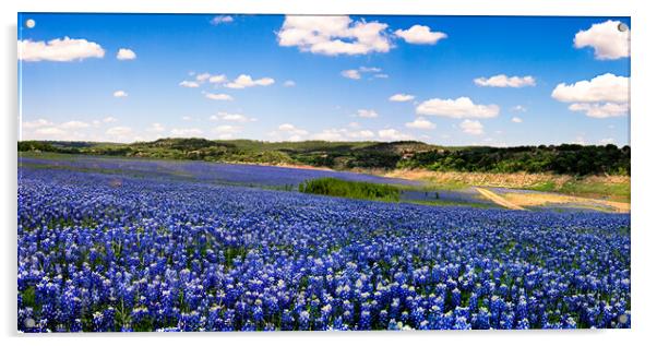 A Sea of Blue Panoramic Acrylic by Chuck Underwood