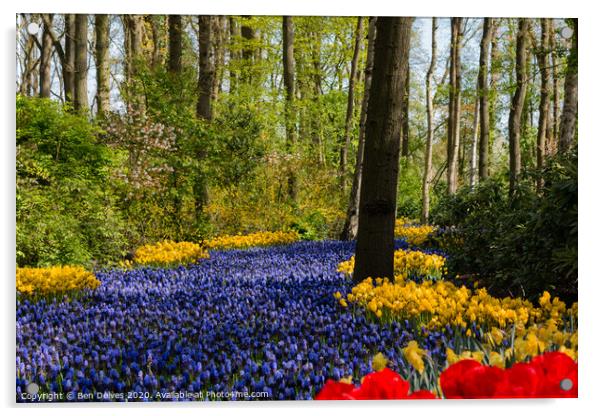 Tulips in the spring Acrylic by Ben Delves