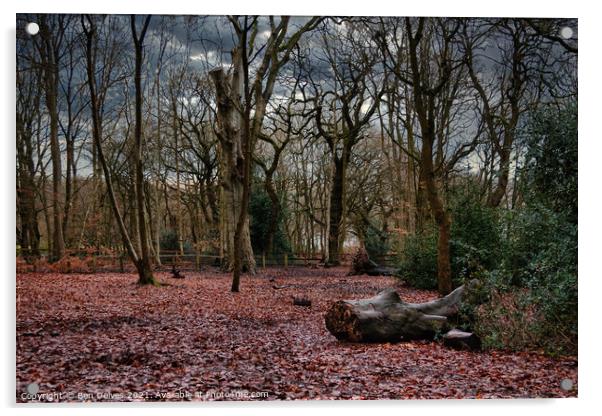 Serene Winter Woodland Acrylic by Ben Delves