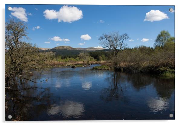 Loch Trool Acrylic by Karen Shaw