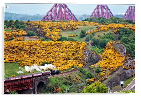 The Flying Scotsman, Forth Bridge bound Acrylic by Gary McMeekin