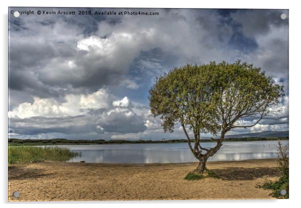 Lonely Tree, Kenfig Pool, South Wales Acrylic by Kevin Arscott