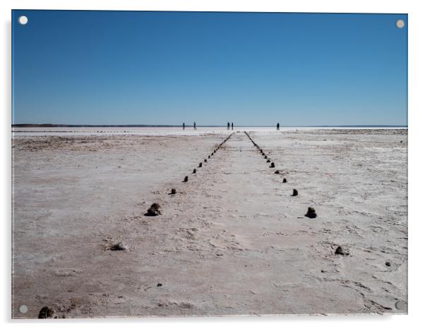  Making Tracks, Lake Hart, Australia Acrylic by Sophie Shoults