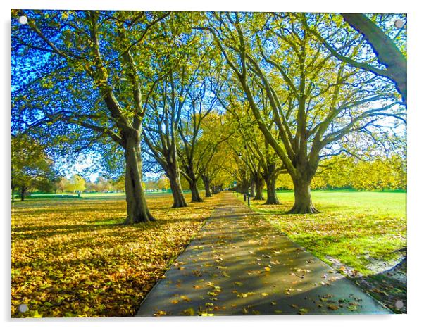 Avenue of Trees Acrylic by Simon Hill