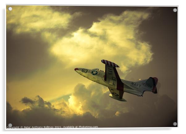 F9F Panther Acrylic by Peter Anthony Rollings