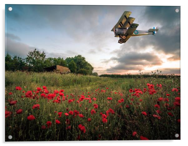 Sopwith Dawn Acrylic by Peter Anthony Rollings