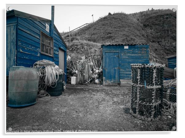 St Abbs Acrylic by Peter Anthony Rollings