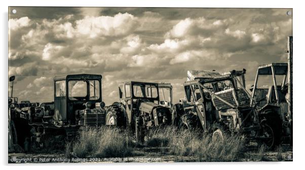 Rust & Ruin Acrylic by Peter Anthony Rollings