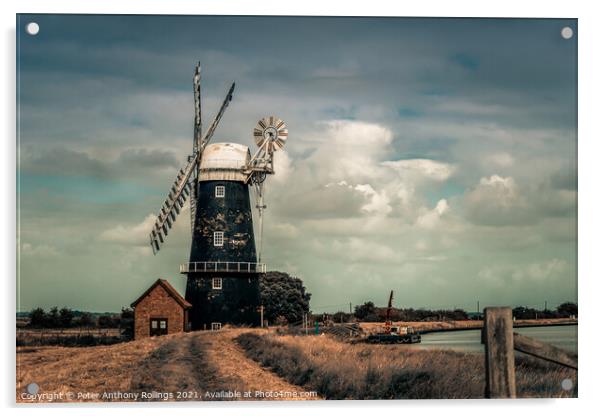 Berney Arms Windmill Acrylic by Peter Anthony Rollings