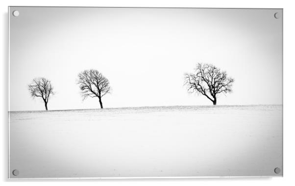 Winter scene Acrylic by Tony Swain