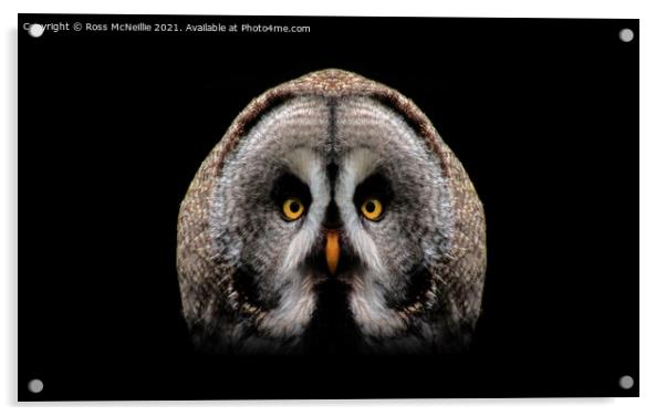 The Great Grey Owl Acrylic by Ross McNeillie