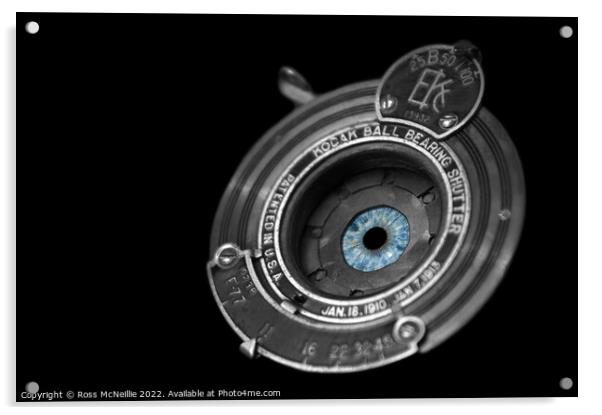 The Eye of the Camera Acrylic by Ross McNeillie