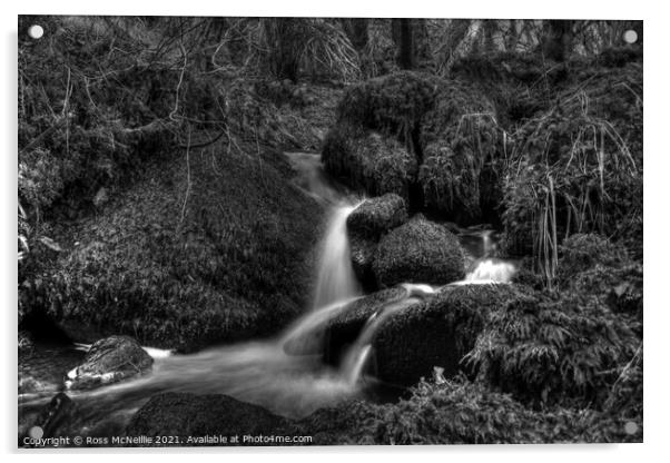 Waterfall on Barnshean Burn - Monochrome Acrylic by Ross McNeillie