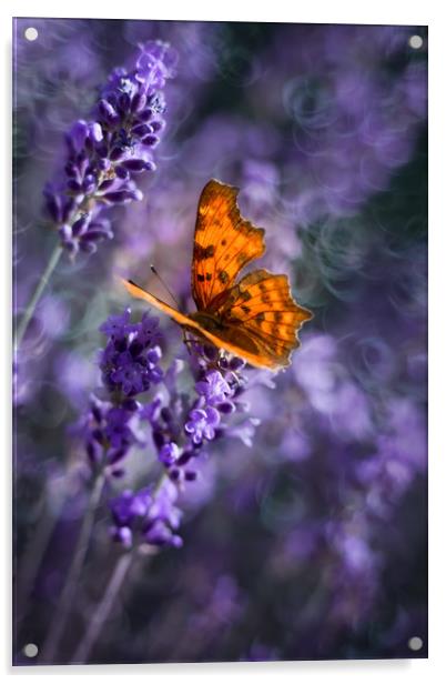 Butterfly on lavender flowers. Acrylic by Karina Knyspel
