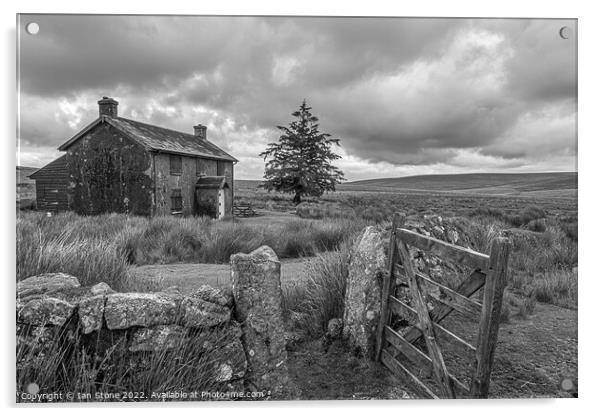 Dartmoor  Acrylic by Ian Stone