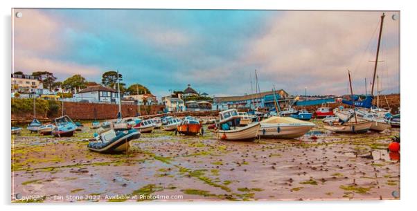 Paignton harbour  Acrylic by Ian Stone