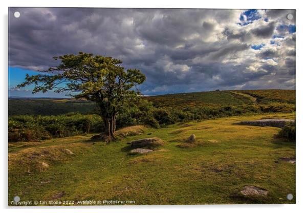 Beautiful Dartmoor  Acrylic by Ian Stone