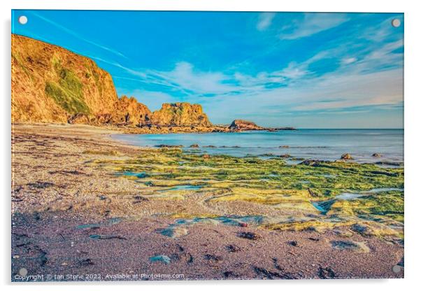 Majestic Devon Coastline Acrylic by Ian Stone