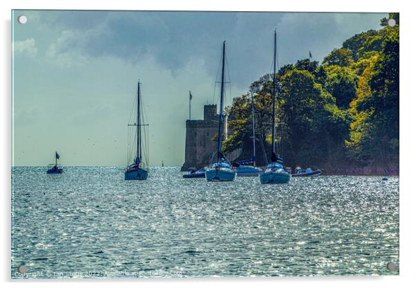 Dartmouth Castle  Acrylic by Ian Stone