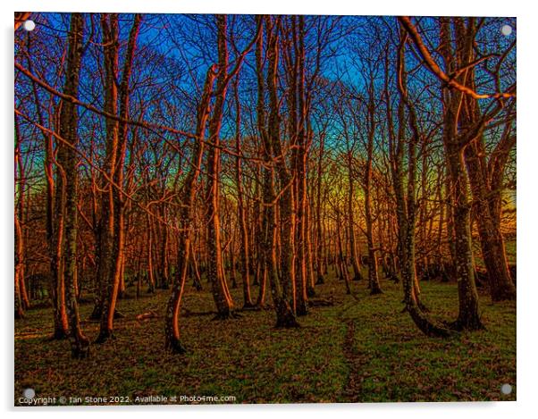 Majestic Winter Woodland Sunset Acrylic by Ian Stone