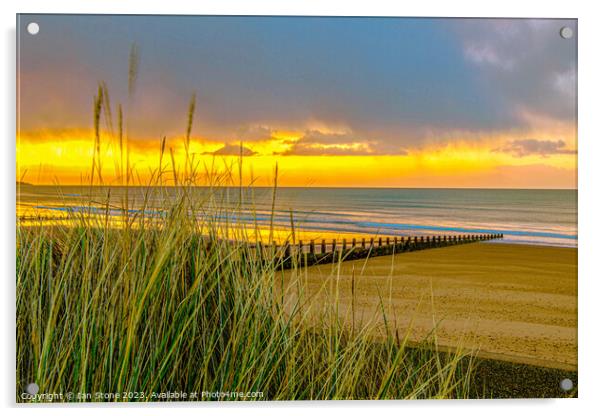 Golden Dawlish Sunrise Acrylic by Ian Stone