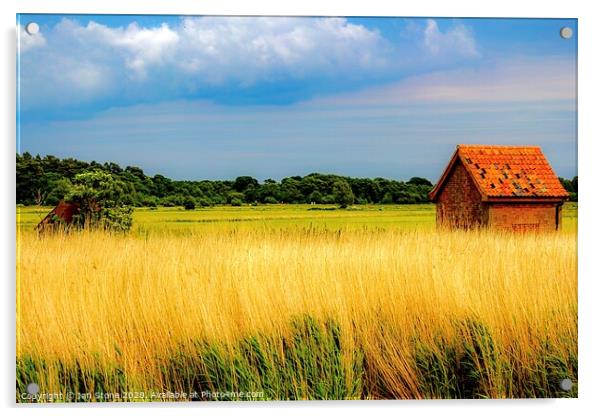 Norfolk Broads  Acrylic by Ian Stone