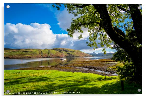 Loch Harport scene Acrylic by Rosaline Napier